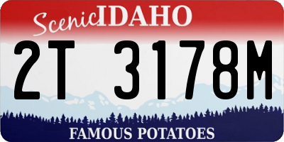 ID license plate 2T3178M