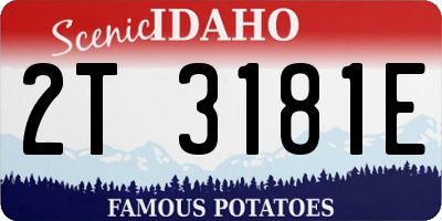 ID license plate 2T3181E