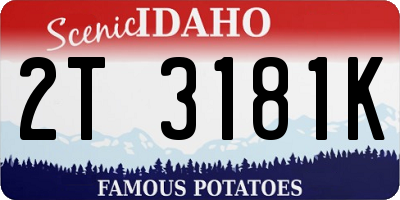 ID license plate 2T3181K