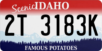 ID license plate 2T3183K