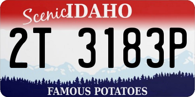 ID license plate 2T3183P
