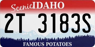 ID license plate 2T3183S