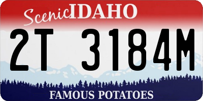 ID license plate 2T3184M