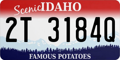 ID license plate 2T3184Q