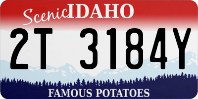 ID license plate 2T3184Y