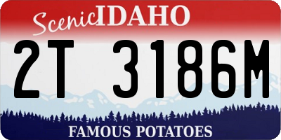 ID license plate 2T3186M