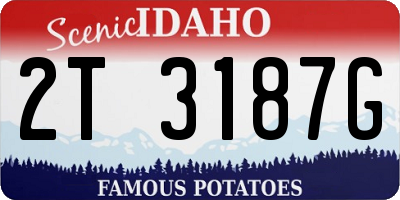 ID license plate 2T3187G