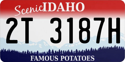 ID license plate 2T3187H