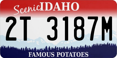 ID license plate 2T3187M