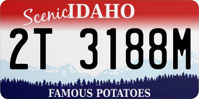 ID license plate 2T3188M