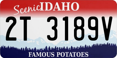ID license plate 2T3189V
