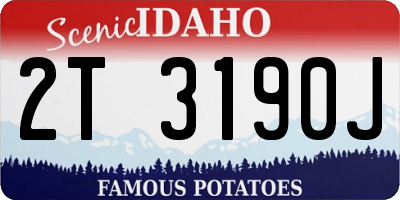 ID license plate 2T3190J