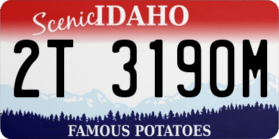 ID license plate 2T3190M