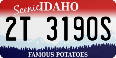 ID license plate 2T3190S