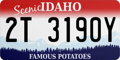 ID license plate 2T3190Y
