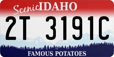 ID license plate 2T3191C