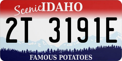 ID license plate 2T3191E