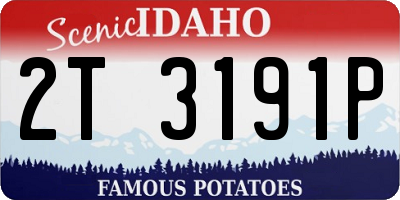 ID license plate 2T3191P