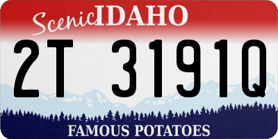 ID license plate 2T3191Q
