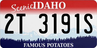 ID license plate 2T3191S