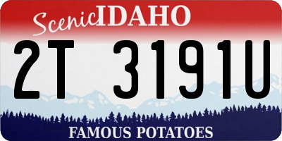 ID license plate 2T3191U