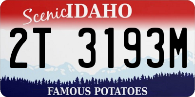 ID license plate 2T3193M