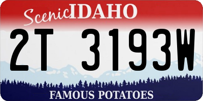 ID license plate 2T3193W