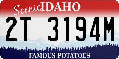 ID license plate 2T3194M