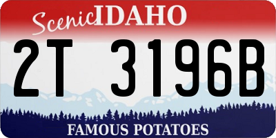 ID license plate 2T3196B