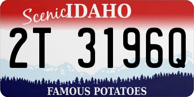 ID license plate 2T3196Q