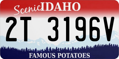 ID license plate 2T3196V