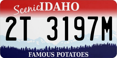 ID license plate 2T3197M