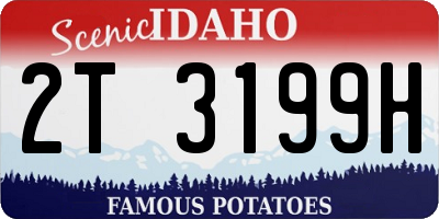 ID license plate 2T3199H