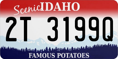 ID license plate 2T3199Q