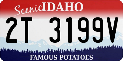 ID license plate 2T3199V
