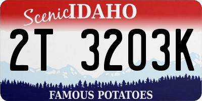 ID license plate 2T3203K