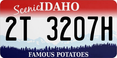 ID license plate 2T3207H