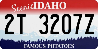 ID license plate 2T3207Z