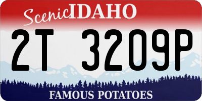 ID license plate 2T3209P