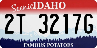 ID license plate 2T3217G