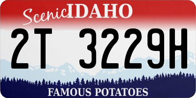 ID license plate 2T3229H