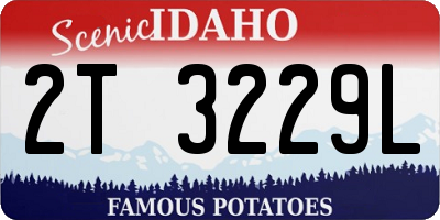 ID license plate 2T3229L