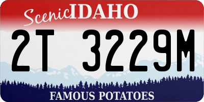 ID license plate 2T3229M
