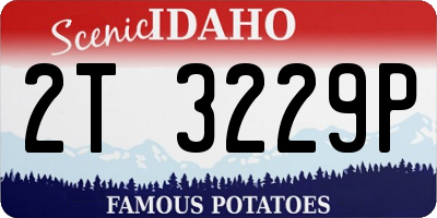 ID license plate 2T3229P