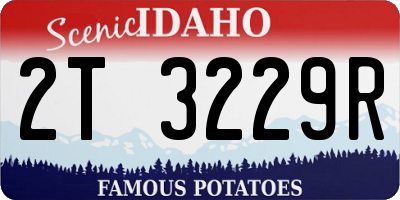 ID license plate 2T3229R