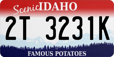 ID license plate 2T3231K