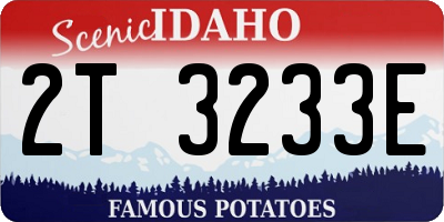 ID license plate 2T3233E