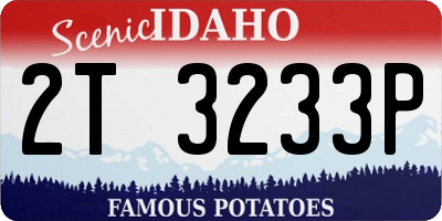 ID license plate 2T3233P