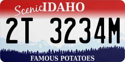 ID license plate 2T3234M