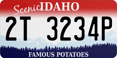 ID license plate 2T3234P